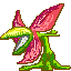 Nar Lily