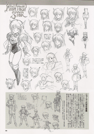 Page 55