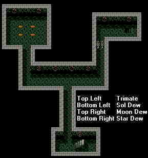 Map of Gumbious Temple basement 1