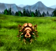 Fighting Ant