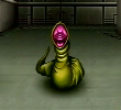 Leecher