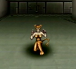Panthera