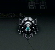 Pinch Ant