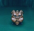 Sea Seer