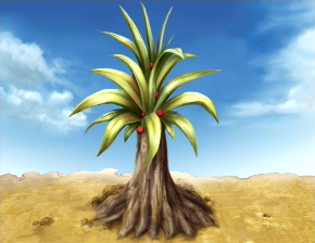 Found the Maruera Tree image